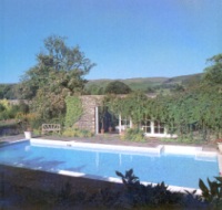 Owner's swimming pool